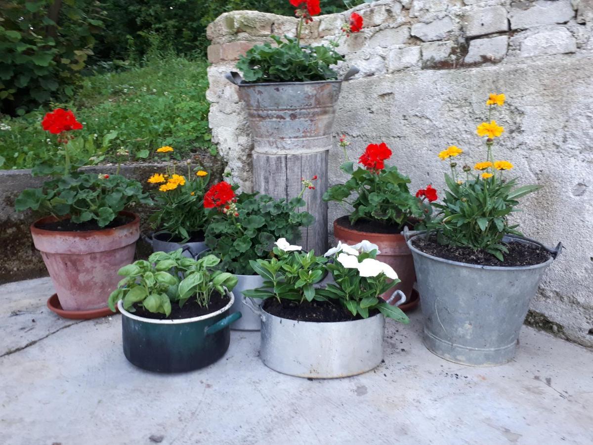 Bed and Breakfast Il Noccioletto Mombaruzzo Zewnętrze zdjęcie